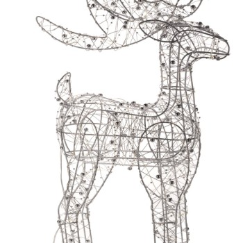 SG XMAS : WONDERDEER