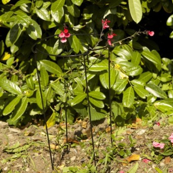 GRO-LINKS 20 CM WITH 50 CM LEGS 4-PK