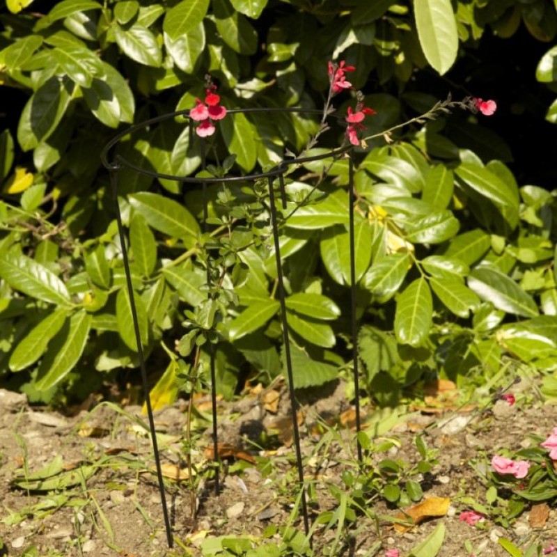 GRO-LINKS 25 CM WITH 70 CM LEGS 4-PK