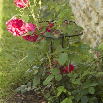 SG : GRO-HOOPS 25 CM WITH 40 CM LEGS 2-PK