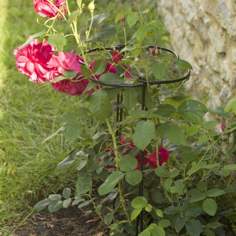 SG : GRO-HOOPS 40 CM WITH 75 CM LEGS 2-PK