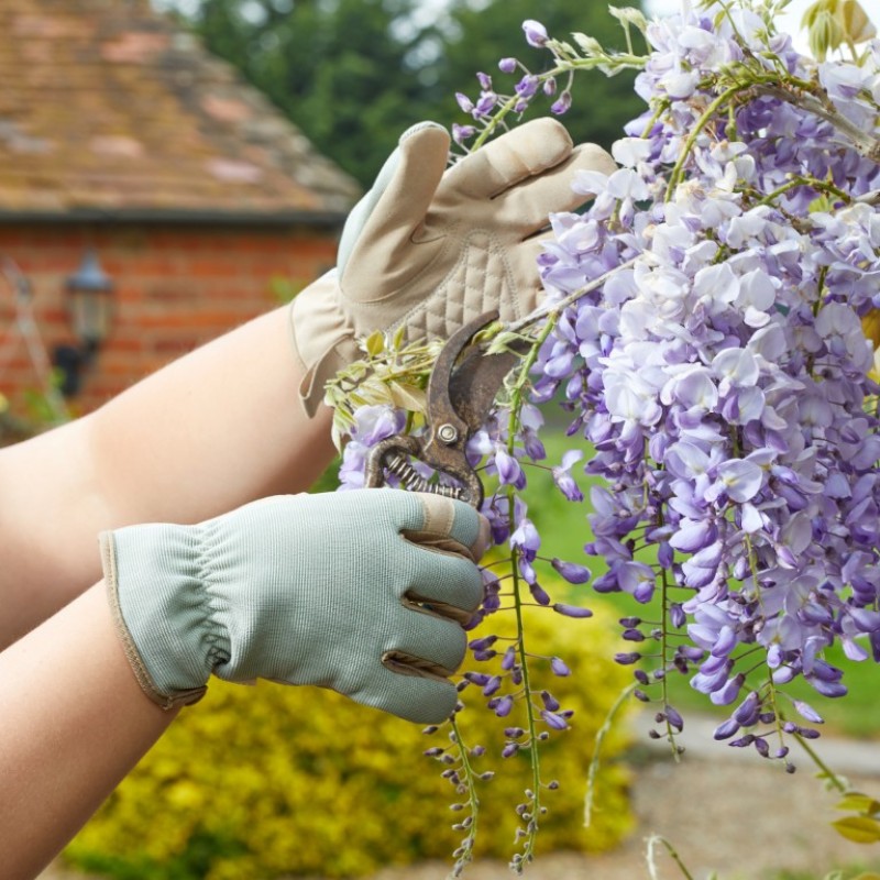 ADVANCED PERFORMANCE M