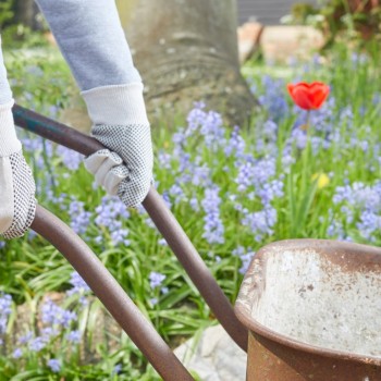 MULTI USE - TRIPLE PACK L