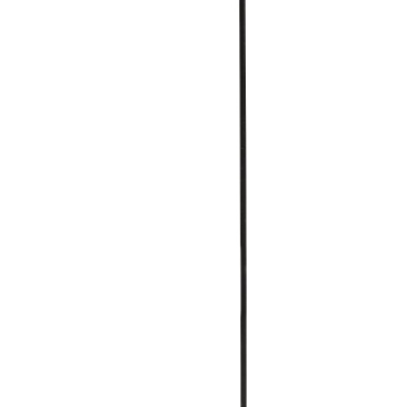 SG: DRAGONFLY DELIGHT