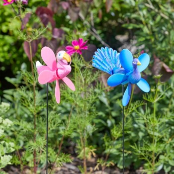 SG: PEACOCK AND FLAMINGO