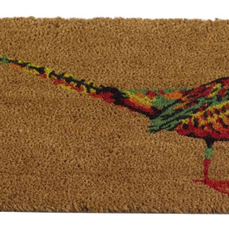 SG: LE FAISAN 45 X 75CM