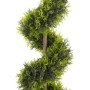 CYPRESS TWIRL 120 CM