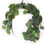 SG: EUCALYPTUS - VERDE GARLAND 180CM