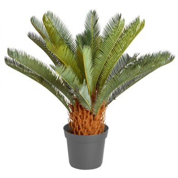 SAGO PALM 68 CM