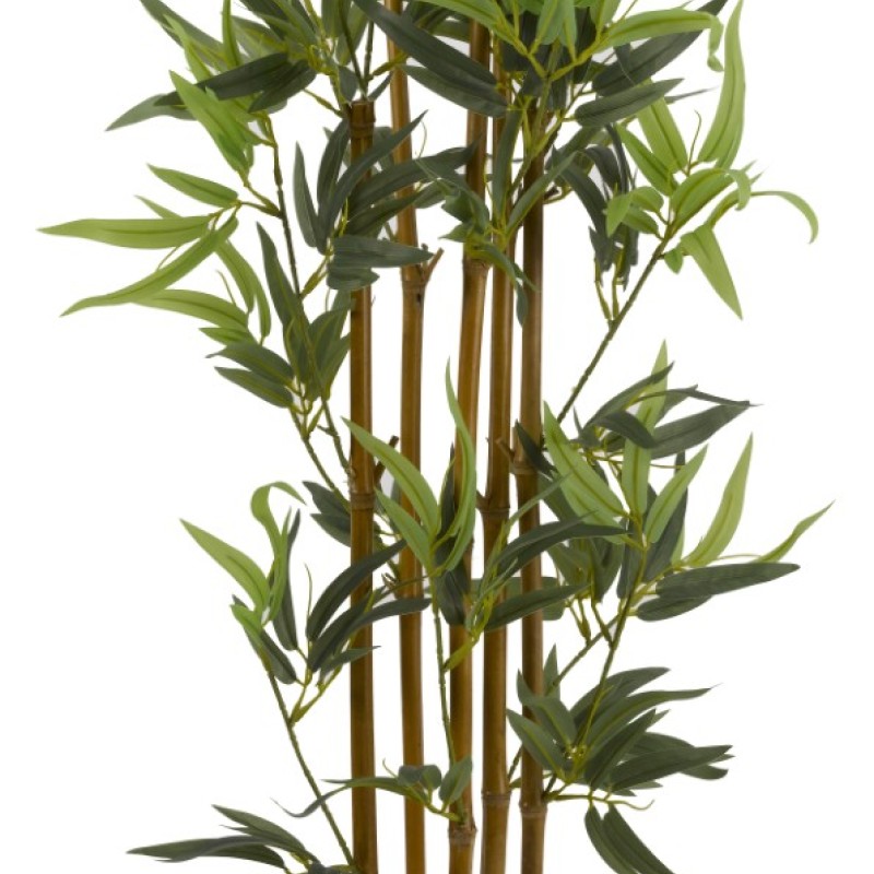 BAMBOO 120 CM