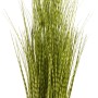 SG: ZEBRA GRASS 90CM