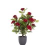 REGENT'S ROSES - RUBY RED 60 CM