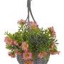 BASKET BOUQUETS - MEADOW