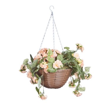 BEGONIA BLOOMS 30 CM