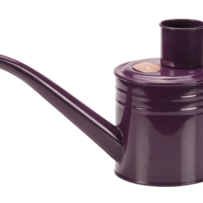 SG: WATERING CAN – VIOLET 1L