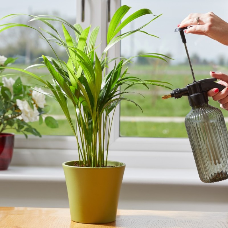 PRESSURE MISTER - 1.2L