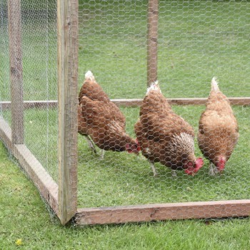 HEXAGONAL WIRE NETTING 13MM MESH