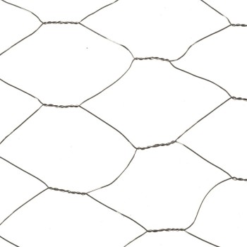 WIRE NETTING - 50MM 1 X 5M GALV