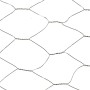 WIRE NETTING - 50MM 1 X 5M GALV