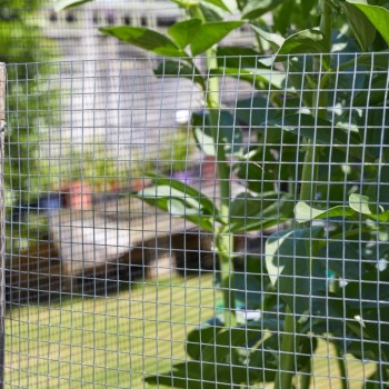 WELD MESH - 13MM X 13MM MESH 0.6 X 0.9M GALV