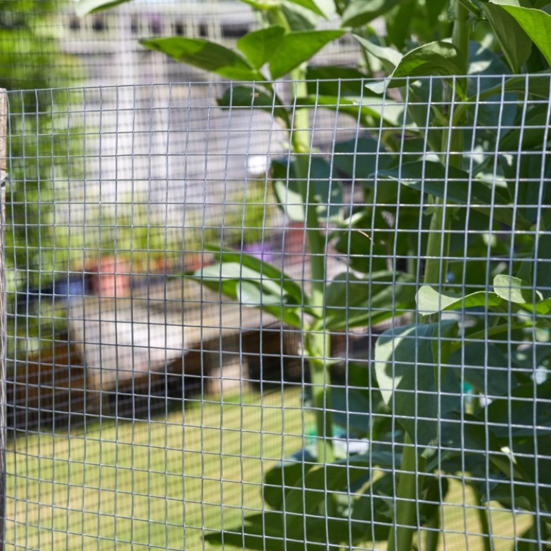 WELD MESH - 13MM X 13MM MESH 0.6 X 0.9M GALV