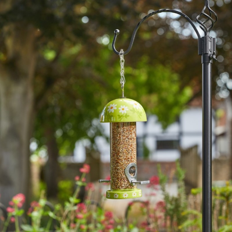 FLAMBOYA SEED FEEDER - FLOWERS