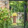 FLAMBOYA PEANUT FEEDER - BEES