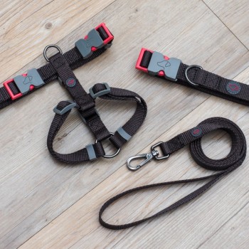DOG HARNESS JET XS