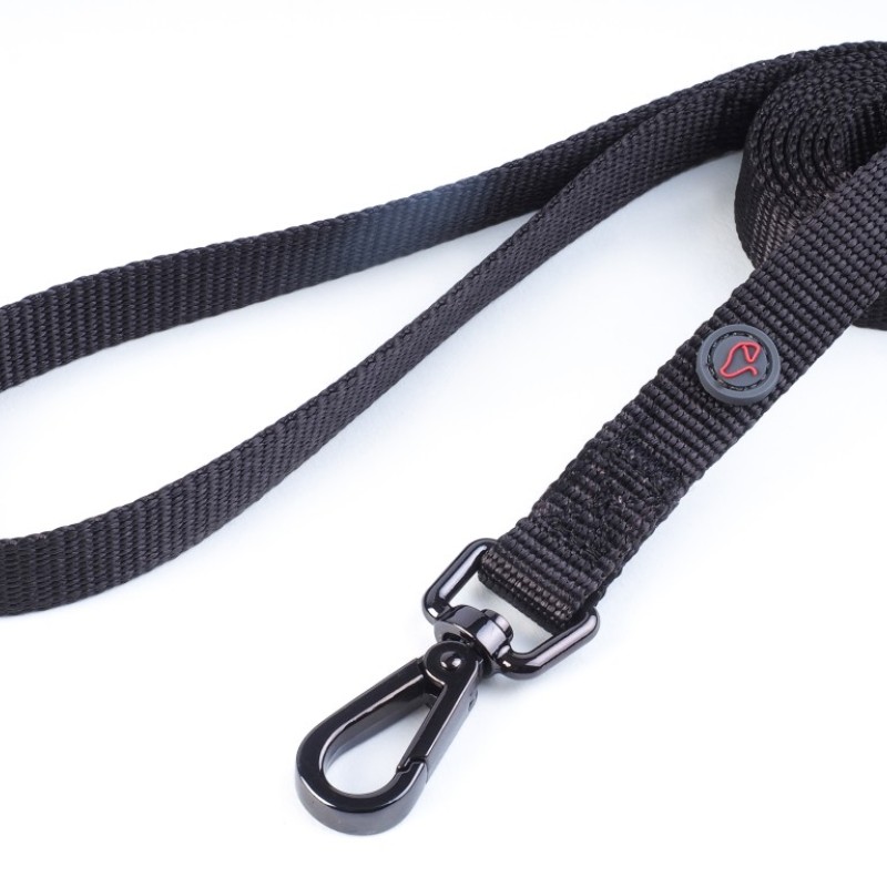 DOG LEAD JET S