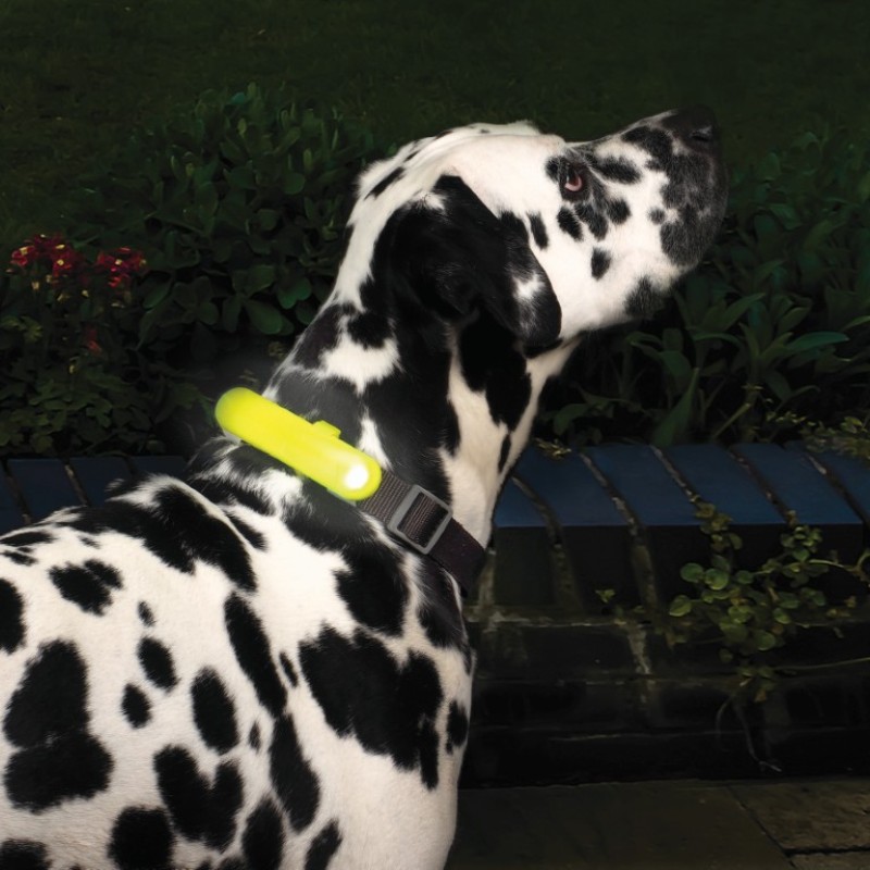 FLASH & GO RECHARGEABLE COLLAR - L