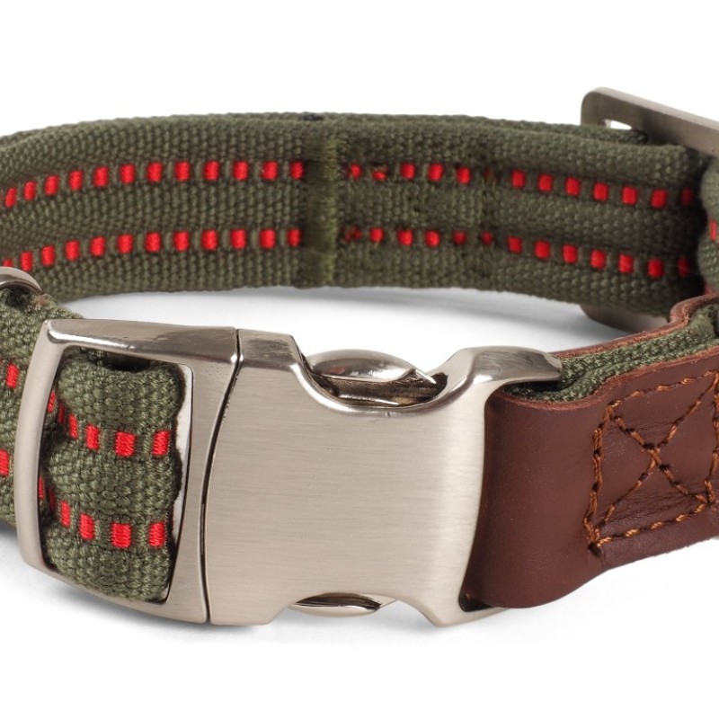 SG: PRIMO DOG COLLAR OLIVE XS