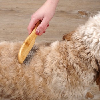 SG: ROTATING COMB - WIDE