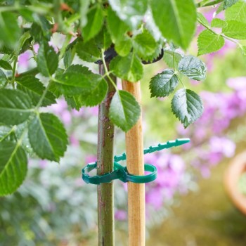 ADJUSTABLE TREE TIES 50 PACK