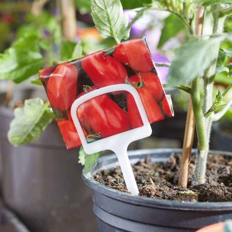 T LABELS 12.5 CM 10-PK