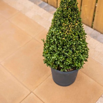 Tobermore Classica paving slab 400mm x 400mm x 40mm Charcoal