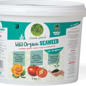 OCEAN LEAVES WILD ORG. SEAWEED 5KG