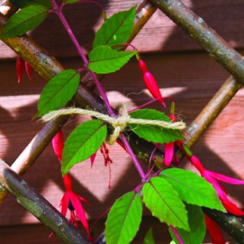 GARDEN TWINE NATURAL 150M