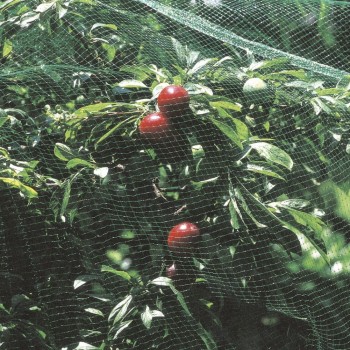 4MX2M PLANT PROTECTION NET