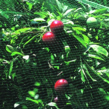 8MX4M PLANT PROTECTION NET