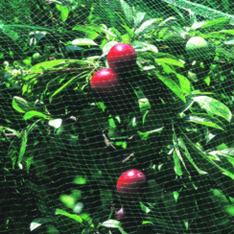 8MX4M PLANT PROTECTION NET