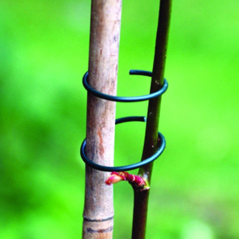 PVC COATED PLANT RINGS