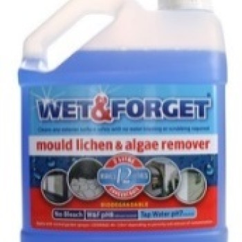WET & FORGET 2L MOULD LICHEN