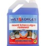 WET & FORGET 5L MOULD LICHEN