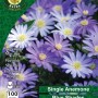 WC BULBS : ANEMONE BLANDA BLUE SHADES 100PK