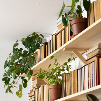 PICTON PINE BOARD 18x1200x250mm