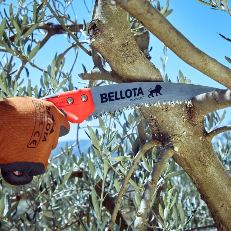 Lion saw with 13″ curved blade and curved bi-material handle. With sheath / 450BIMC13