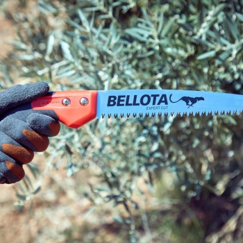 Cheetah Saw 12″ Straight Blade and Handle and Sheath