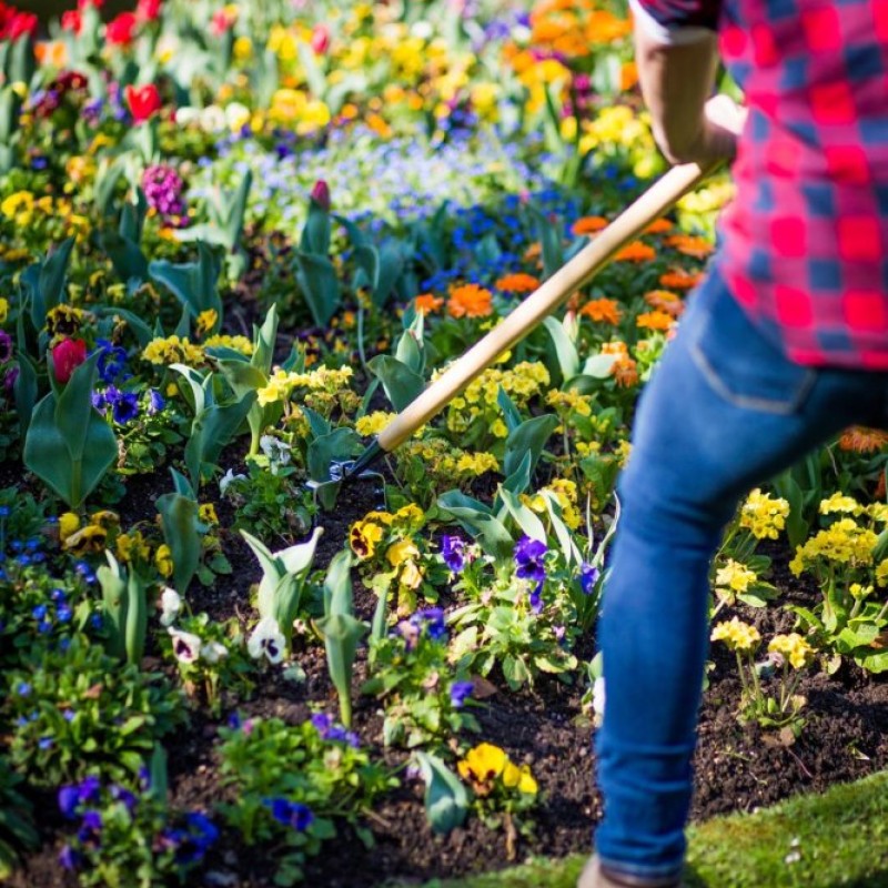 Oscillating hoe, 13cm wide, with certified 1500 handle / LHT308612W1500