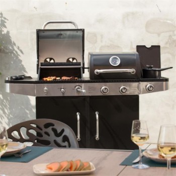 Magnus Dual Cook Station BBQ