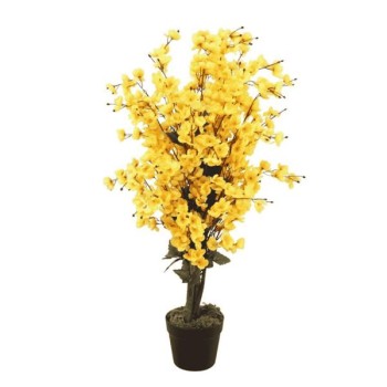 Wintersweet Tree H90cm